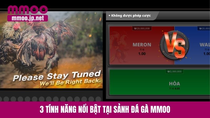 3 tính năng nổi bật tại sảnh đá gà MMOO